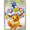 Prismatic Evolutions Stellar Tera Eevee Sleeves