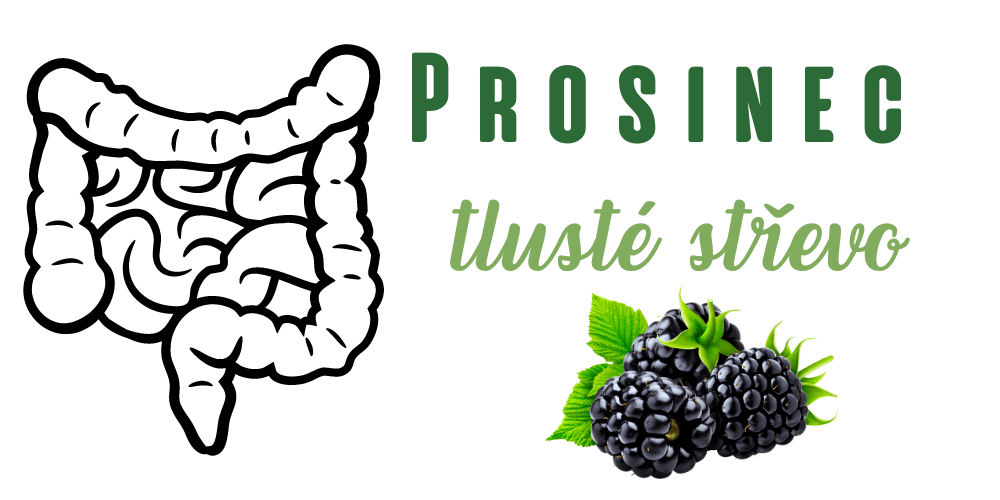 Zdraví z pohledu čínské medicíny - 2. díl: Prosinec a tlusté střevo