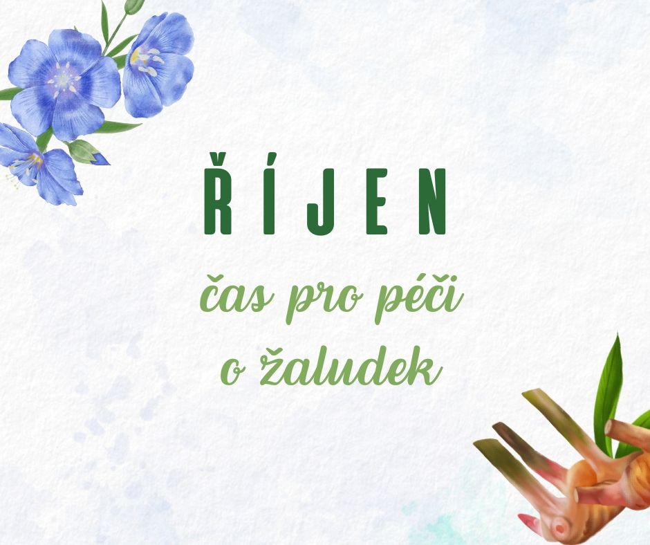 Zdraví z pohledu čínské medicíny - 12. díl: Říjen a žaludek