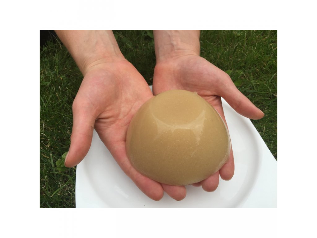 Irský mech - účinná mořská řasa 