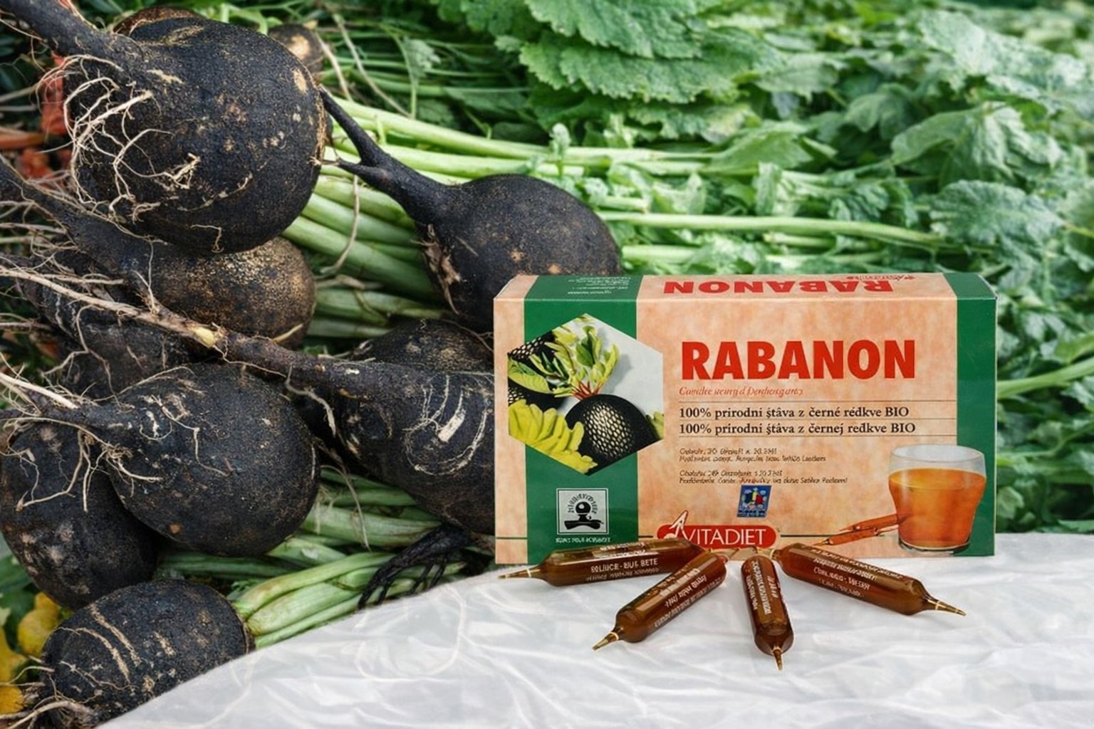 Černá ředkev a očista organismu: přirozená podpora jater a žlučníku