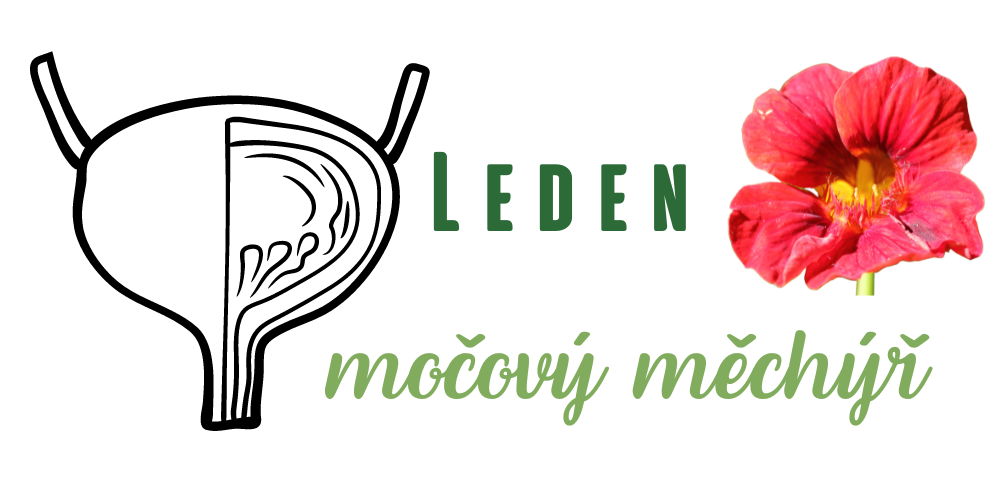 Zdraví z pohledu čínské medicíny - 3. díl: Leden a močový měchýř