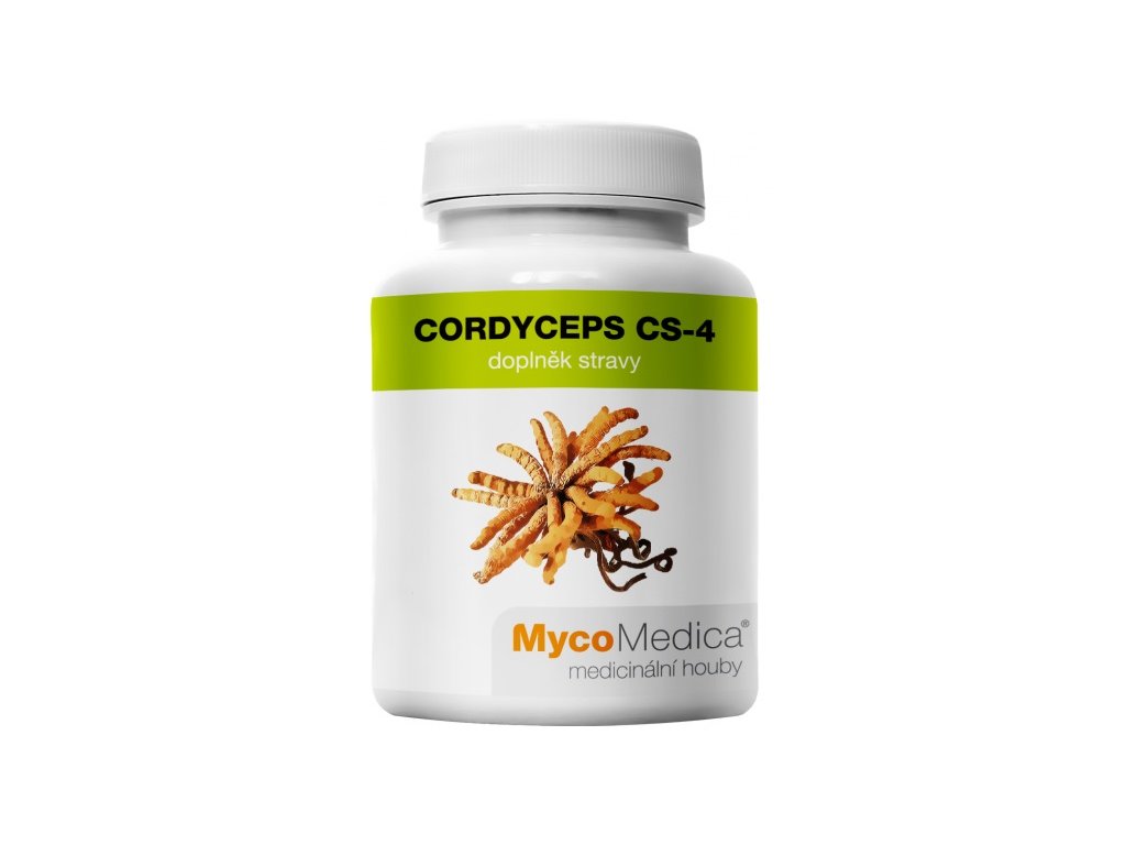 Cordyceps - poklad Tibetu