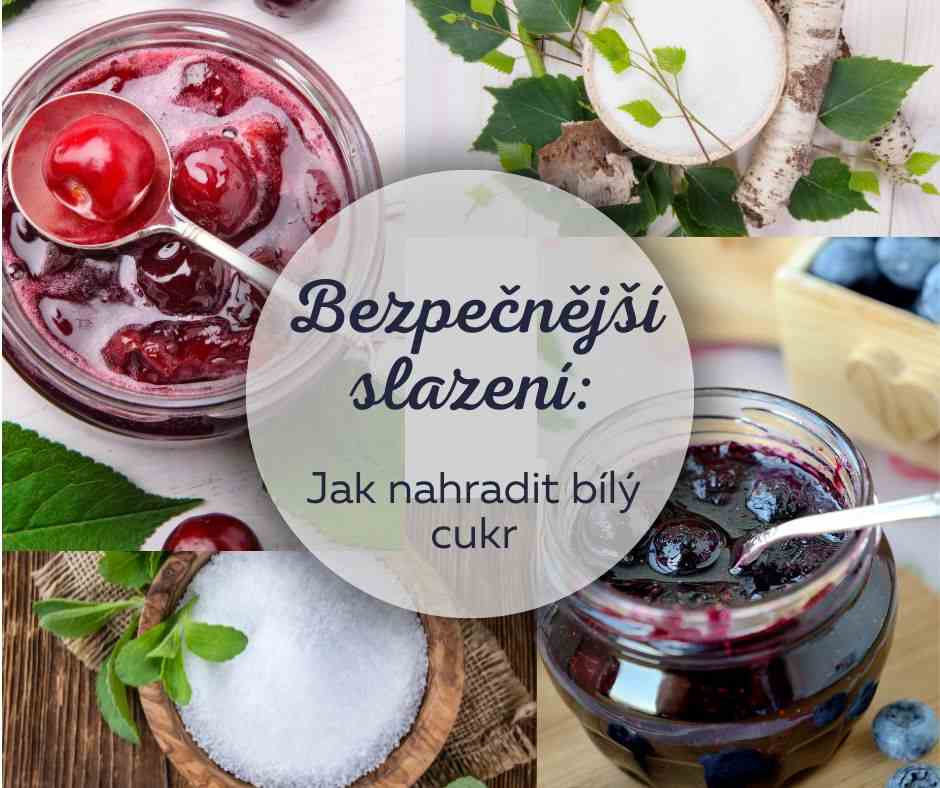 Bezpečnější slazení: Jak nahradit bílý cukr při výrobě zavařenin a marmelád?