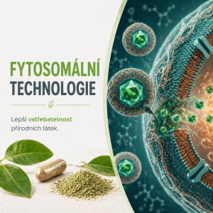 Fytosomální technologie: moderní cesta k lepší využitelnosti přírodních látek