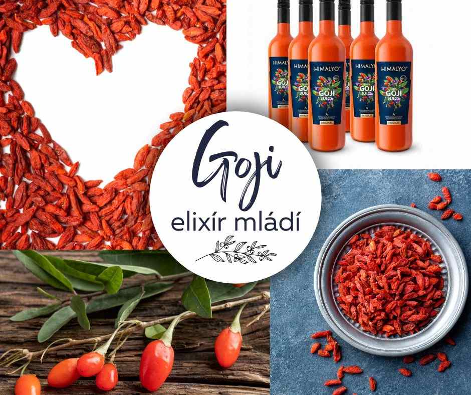 Goji jako elixír mládí 