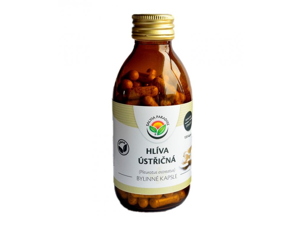 Hlíva ústřičná – elixír věčného mládí