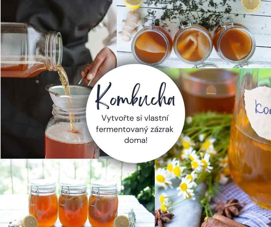 Kombucha: Vytvořte si vlastní fermentovaný zázrak doma!