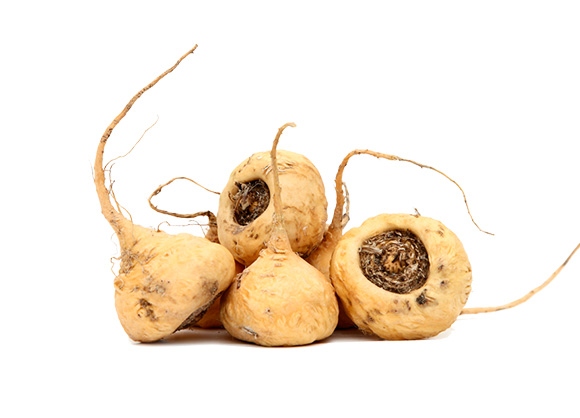 Maca - atraktivnější a levnější!