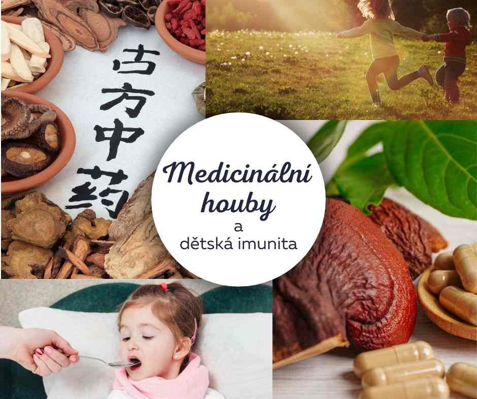 Medicinální houby pro děti: Přirozený způsob posílení imunity