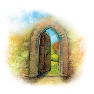 Poznejte sílu čínských bylin