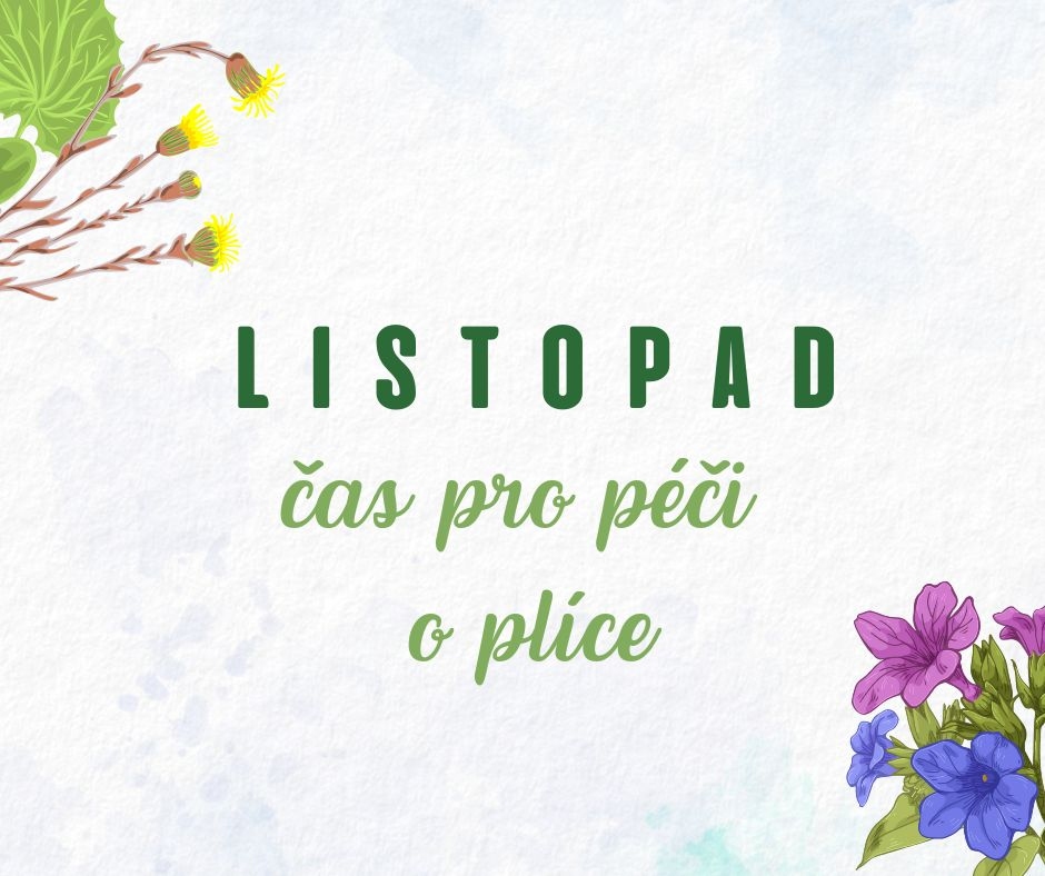 Zdraví z pohledu čínské medicíny - 1. díl: Listopad a plíce