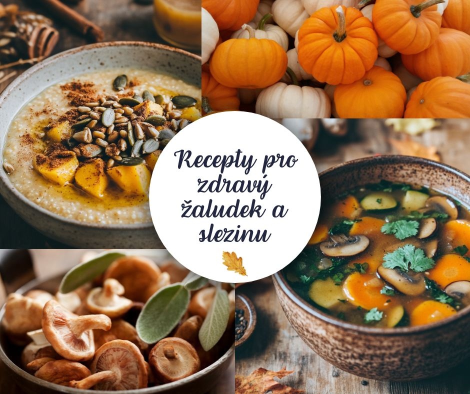 Podzimní pokrmy pro posílení sleziny a žaludku podle TČM