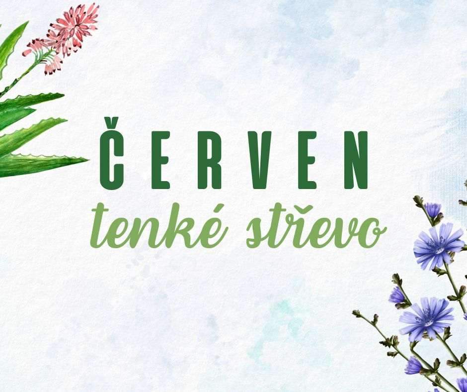 Zdraví z pohledu čínské medicíny - 8. díl: Červen a tenké střevo