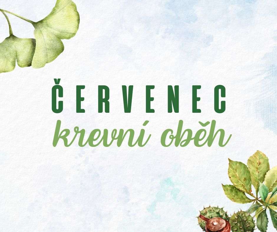 Zdraví z pohledu čínské medicíny - 9. díl: Červenec a krevní oběh