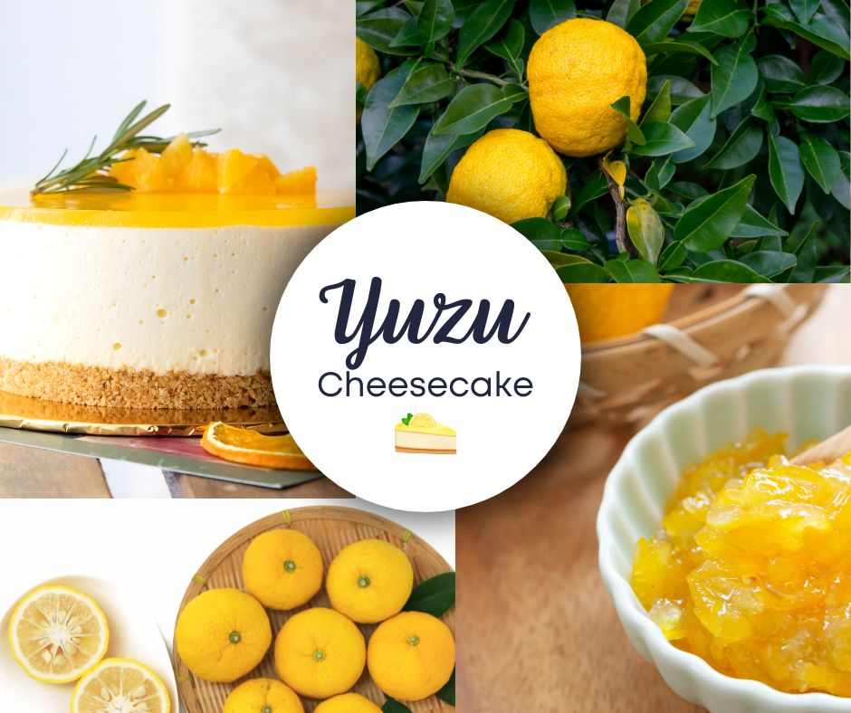 Nepečený YUZU cheesecake