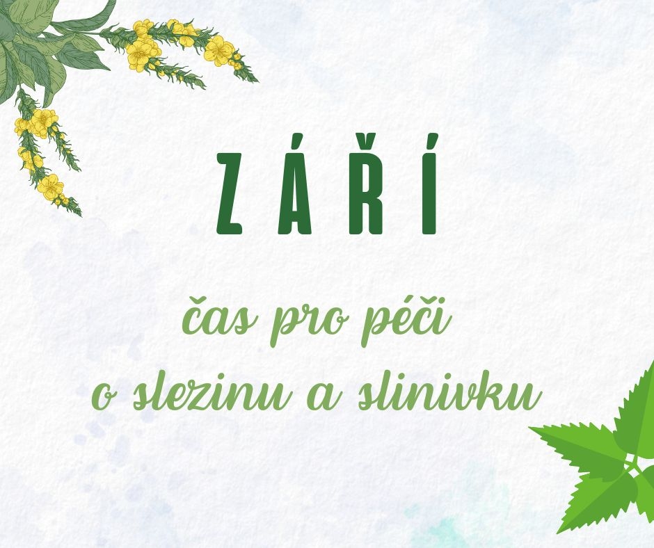 Zdraví z pohledu čínské medicíny - 11. díl: Září a slezina a slinivka