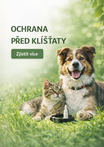 Je čas chránit psy a kočky před klíšťaty
