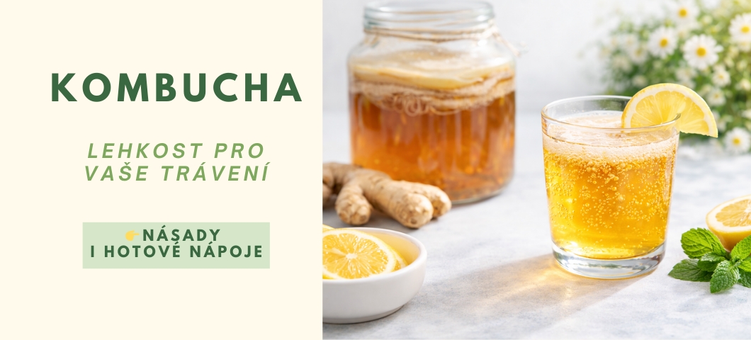 Zdravá a lahodná kombucha - násady i hotové nápoje