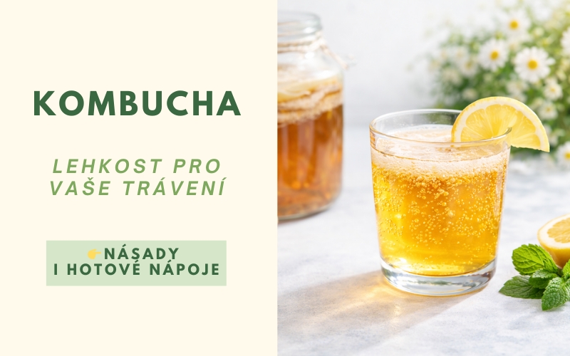 Kombucha - zdravá a lahodná - násady i hotové nápoje