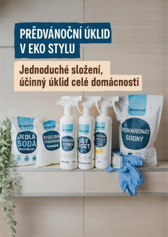PŘEDVÁNOČNÍ ÚKLID V EKO STYLU