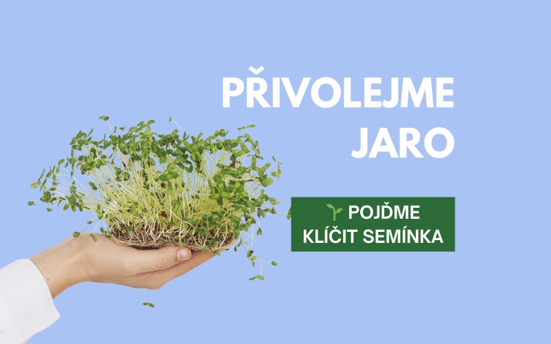 Přivolejme jaro! Pojďme společně klíčit semínka