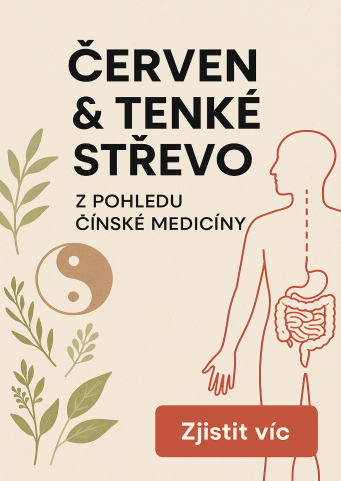Téma měsíce června - zdravé tenké střevo