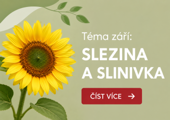 Téma měsíce září - slezina a slinivka