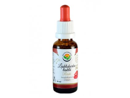 Lesklokorka lesklá AF tinktura (Balení 30 ml)