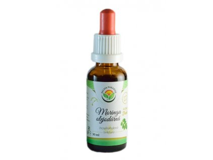 Moringa olejodárná AF tinktura (Balení 30 ml)