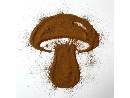 vyr 55 chaga powder EBay