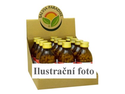 Salvia Paradise CZ BOX Kapsle ilustracni foto custom