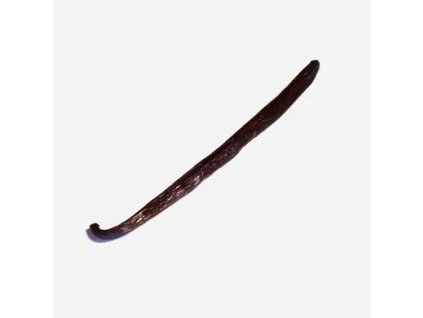 vanilkovy lusk bourbon bio 1 ks img gsvlbb1 fd 99