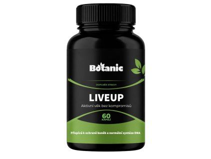 1466 6 lekovka cerna 22