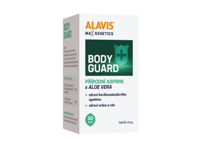 bodyguard