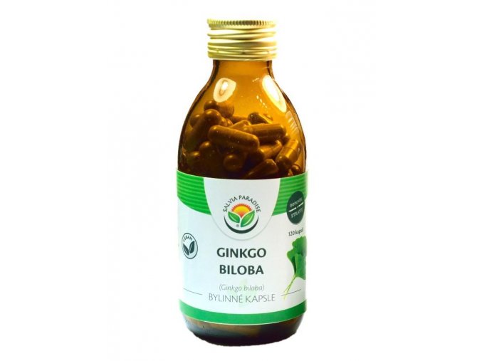 Ginkgo biloba - jinan kapsle 120ks