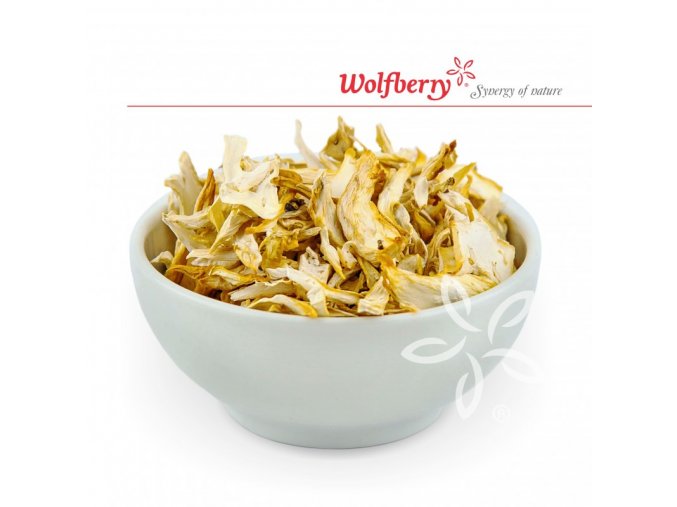 Wolfberry Hlíva ústřičná - sušené houby 20 g