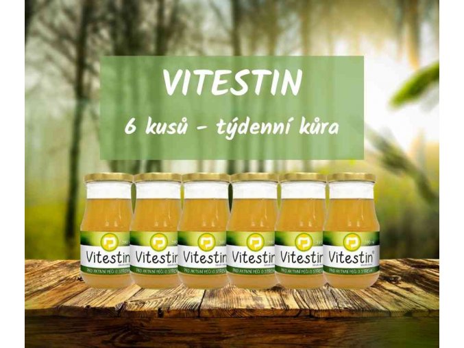 Vitestin 390 ml 6 kusů