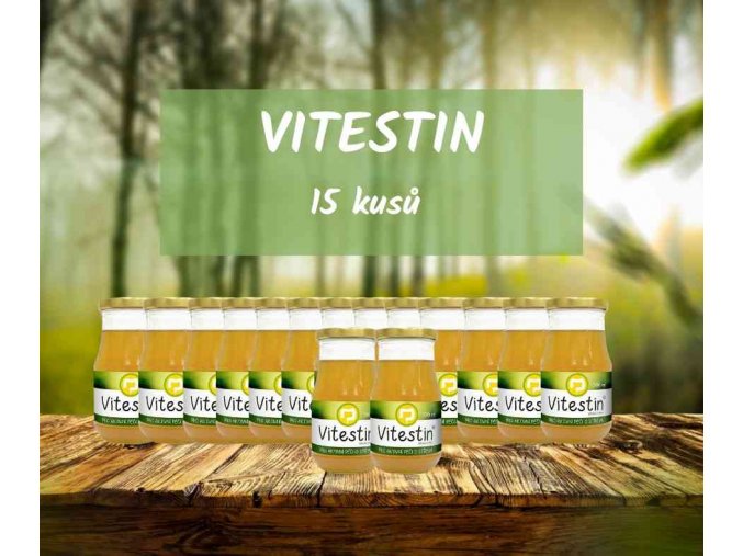 Vitestin 390 ml 15 kusů