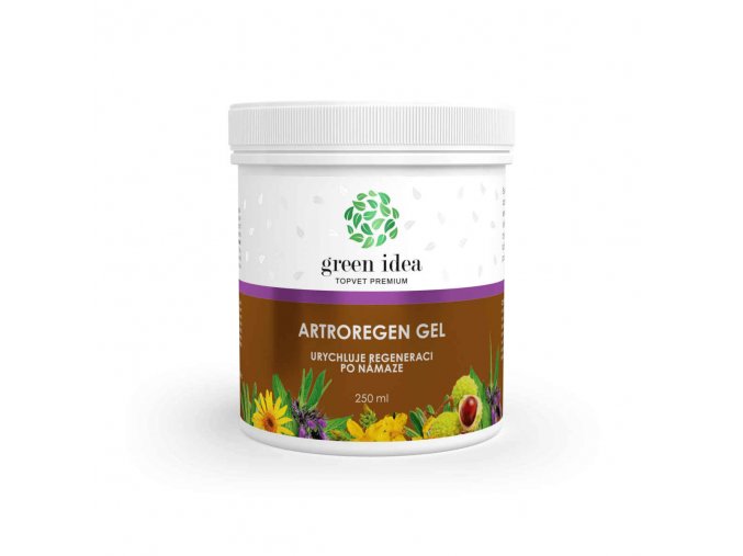 Green idea Artroregen masážní gel 250 ml