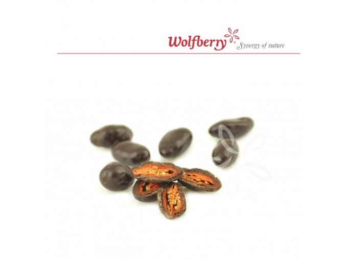 Wolfberry Bio Kustovnice čínská v hořké čokoládě 100 g