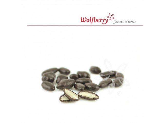 Wolfberry Bio Slunečnice v hořké čokoládě 100 g