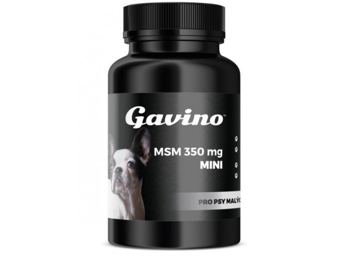 Gavino MSM Mini pro psy 120 kapslí