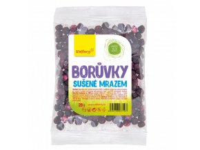 boruvky wolfberry 20 g