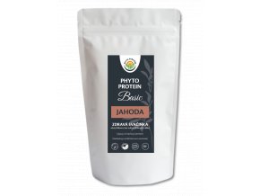 Phyto Protein Basic - jahoda 300 g