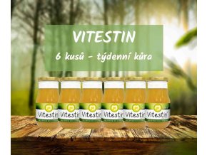 Vitestin 390 ml 6 kusů