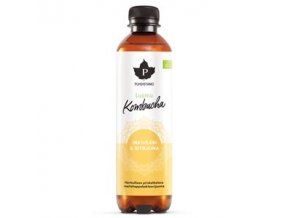 153075 4 kombucha bio 370ml bio kombucha zazvor citron