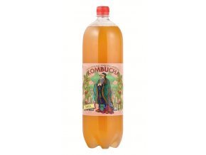 Stevikom Kombucha Šípek 2000 ml