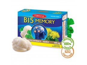 b15 memory 60 suroviny web 1280px