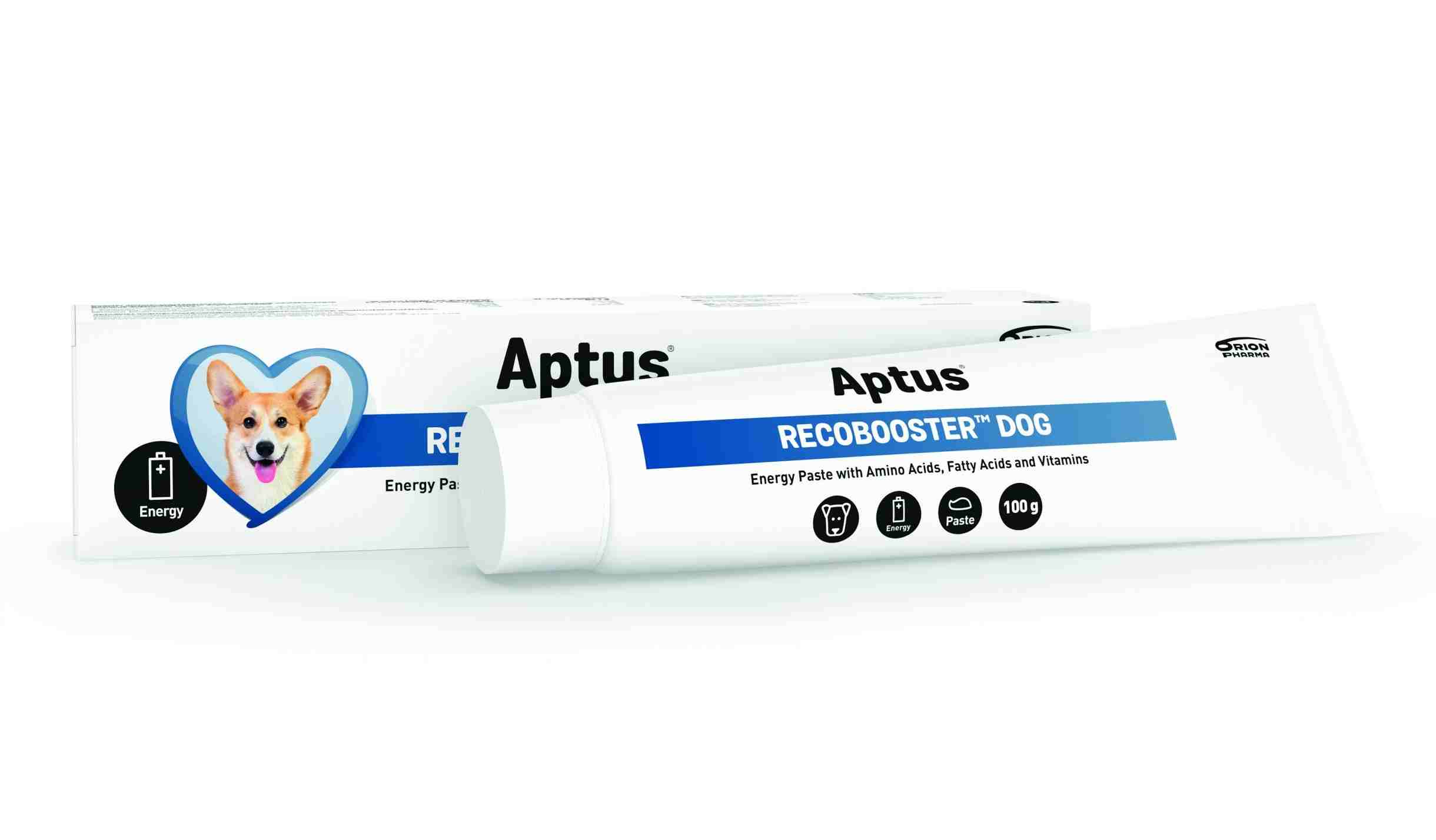 Aptus Recobooster Dog energetická pasta 100 g